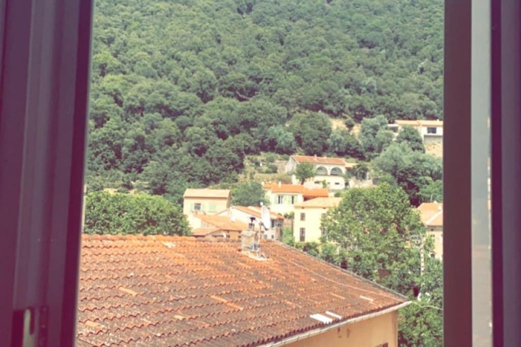 Appartement T2 Chez Thomas Et Nas Omessa Exterior photo